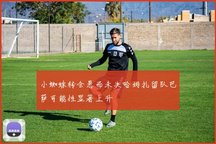 小蜘蛛转会悬而未决哈姆扎留队巴萨可能性显著上升